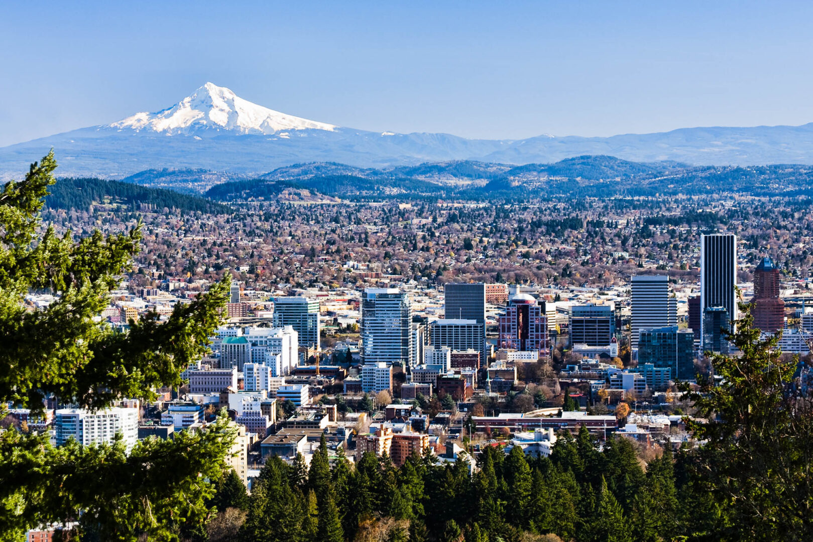 Is rent going down in Portland? Or going up? Learn more here!