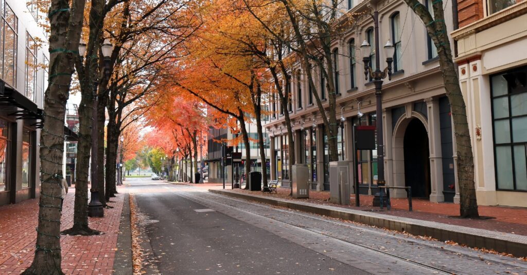 A street with tram rails on the right side, lined with multiple stone buildings and tall trees with orange leaves.